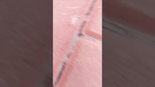 Встретил Паука на линейке