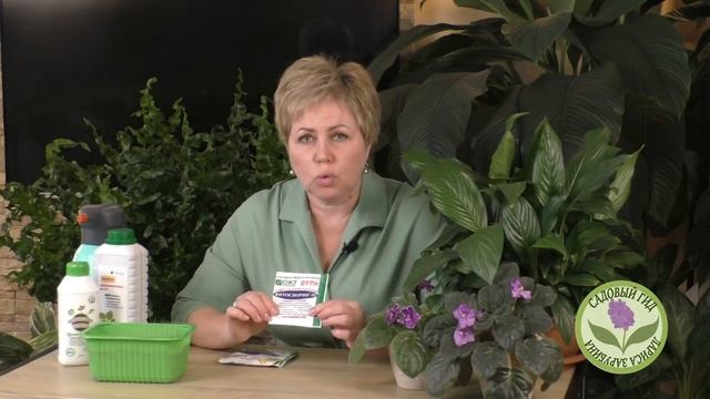 КАК ПОДГОТОВИТЬ ГРУНТ К ПОСЕВУ РАССАДЫ! ОСНОВНЫЕ ПРАВИЛА ОБРАБОТКИ ПОЧВЫ! смотреть онлайн