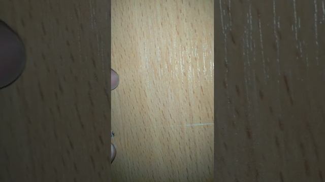 Пушистые Крошки