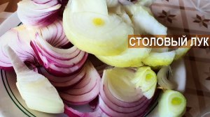 Столовый лук шалот. Фермер Роман Алыев. КФХ Надежда