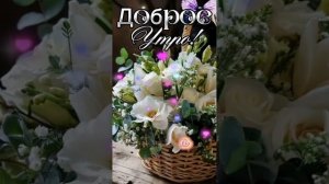 #доброеутро #рекомендации #музыкальнаяоткрытка #пожелания