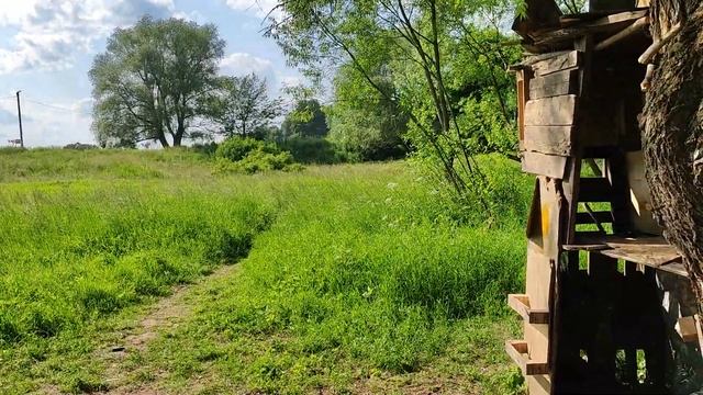 Шалаш в усадьбе Суханово смотреть онлайн