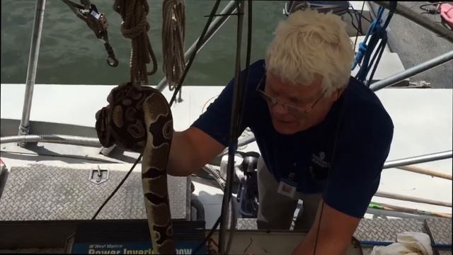 Baltimore Trash Wheel Python Extraction смотреть онлайн