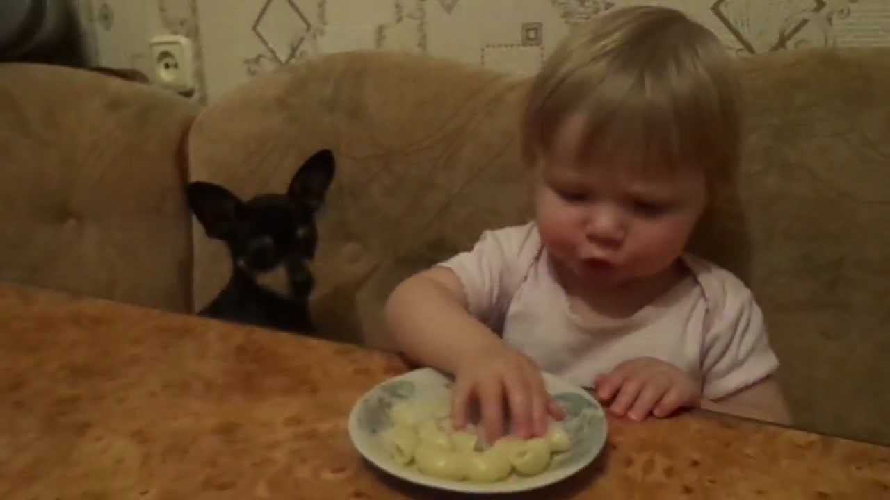 Little lurcher ¤ Маленький воришка ¤ смотреть онлайн