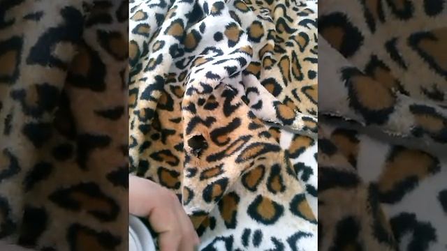 Обзор фотоаппарата 1995 года смотреть онлайн