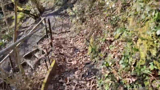 р Сочи приток Кутарка смотреть онлайн