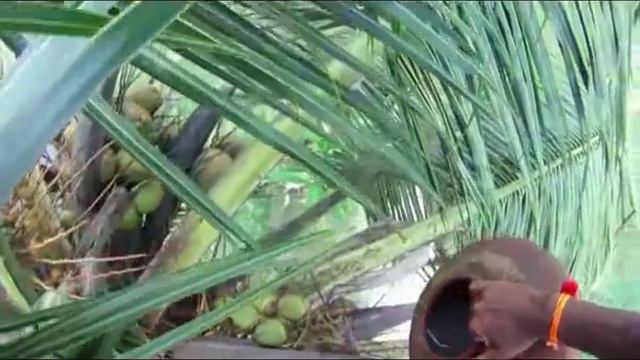 A Farmer from Kuttanad смотреть онлайн
