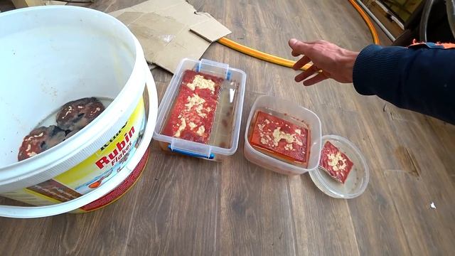 Корм для рыбок домашнего разведения - Аулофорус