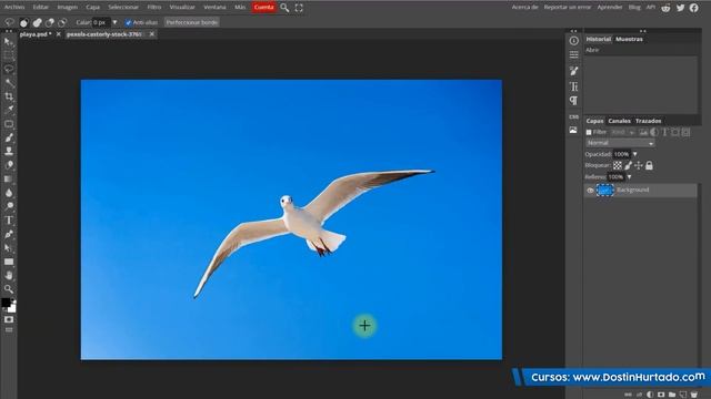 Photoshop Gratis Online, Edita imágenes gratis con Photopea ? Dostin Hurtado смотреть онлайн