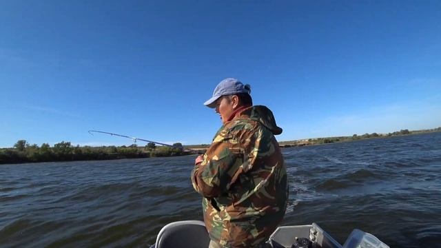 Cудак на Джиг на Волге ▶ Fishing 2023 | #Vovabeer смотреть онлайн