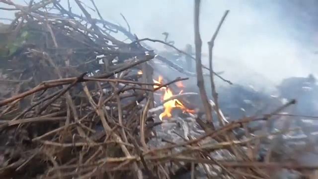 Сжигаем лозу, ветки. Костер. Зола. смотреть онлайн