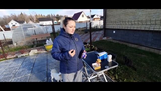 Глистогонка для собак. Какие препараты есть? Как давать собакам? смотреть онлайн