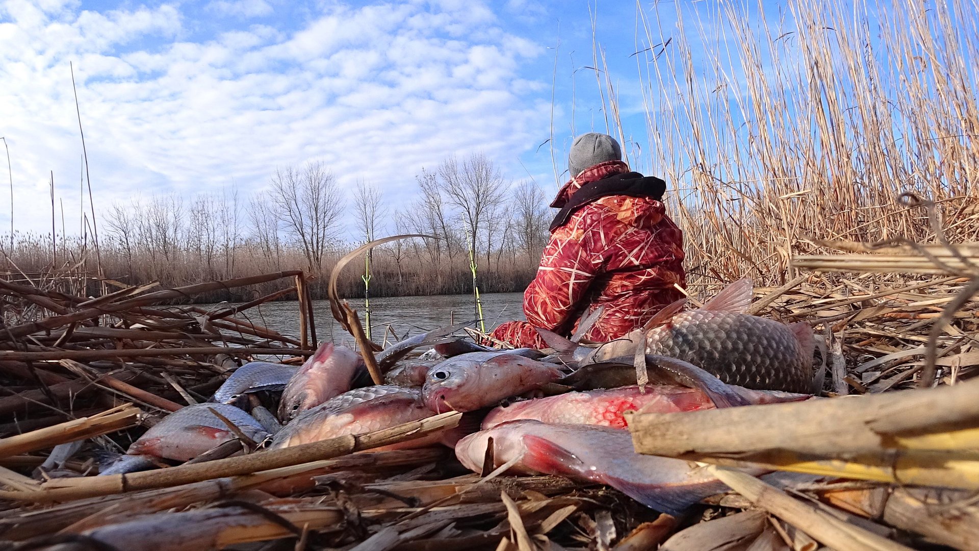 ПАЛКА И ХОМУТ, ШАРЮСЬ В ОСТРОВАХ. Стая рыбы в каждой лунке. Зимняя рыбалка по опасному льду на окуня смотреть онлайн
