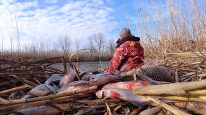 ПАЛКА И ХОМУТ, ШАРЮСЬ В ОСТРОВАХ. Стая рыбы в каждой лунке. Зимняя рыбалка по опасному льду на окуня