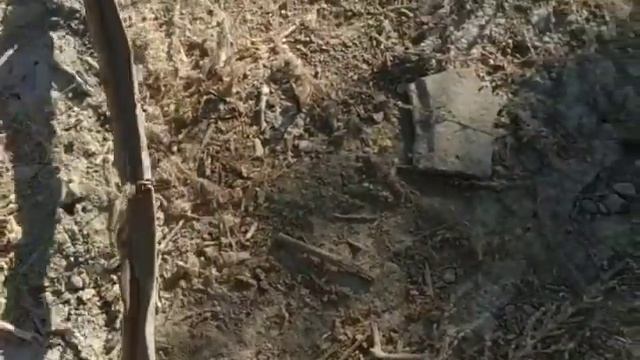 "Пират" металіздегішіне шолу смотреть онлайн