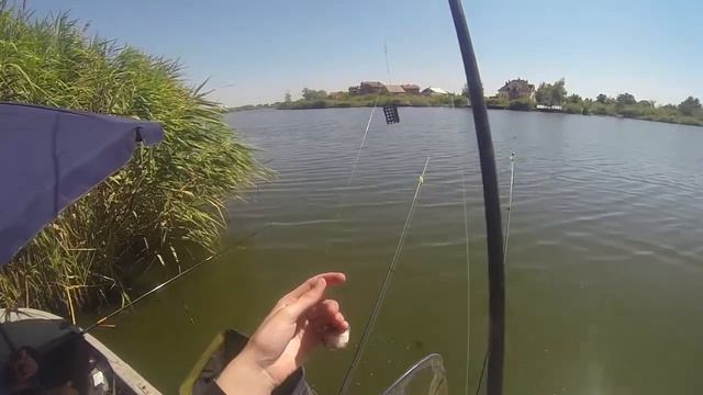 Ловля Леща и Карася на кормаки (донка) / Ловля на поплавок Линя и Карася/ р. Самара смотреть онлайн