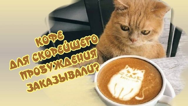 ДОБРОЕ_УТРО_СРЕДЫ?ПУСТЬ_В_ВАШЕМ_ДОМЕ_ВСЕГДА_ПАХНЕТ_СЧАСТЬЕМ?Музыкальная_открытка_для_друзей.mp4 смотреть онлайн