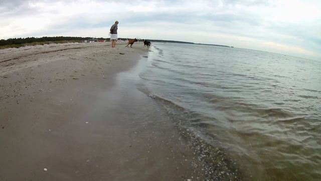 Malawi Aquarium mit Lavastein - Aufbaudoku смотреть онлайн