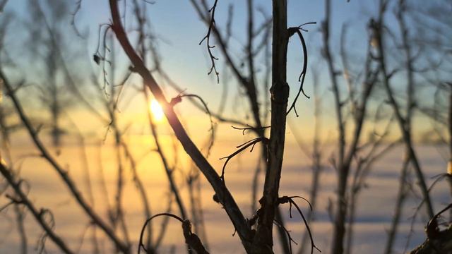 Beautiful Winter Sunset (HDR10+) 4K Sample Footage Video HDR10 Plus смотреть онлайн