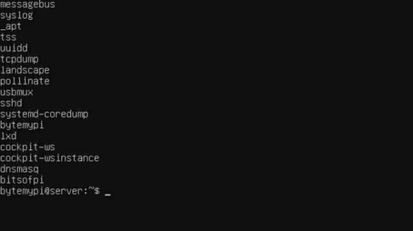 Ubuntu Server: Getting started with a Linux Server