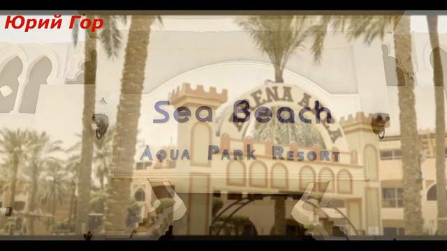 Отзыв отдыхающего. Отель Sea Beach Aqua Park Resort 4*! Egypt! Sharm El Sheikh!
