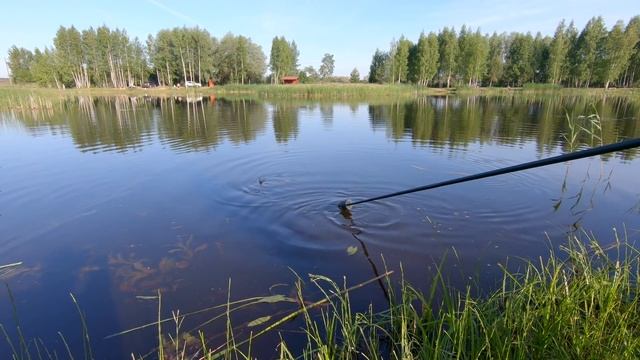 Первая карповая рыбалка 2018. Ловля карпа в июне. Проблемы со звуком. смотреть онлайн