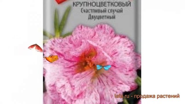 Строительные Приоритеты