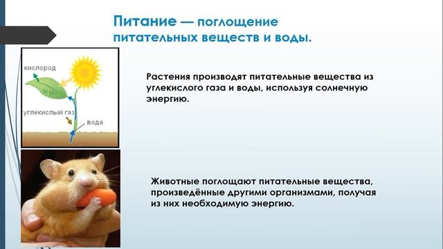 признаки жизни смотреть онлайн
