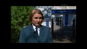 Налог на дачные постройки  За какие теплицы и бани придется платить