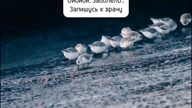 Узнали себя?😅 смотреть онлайн