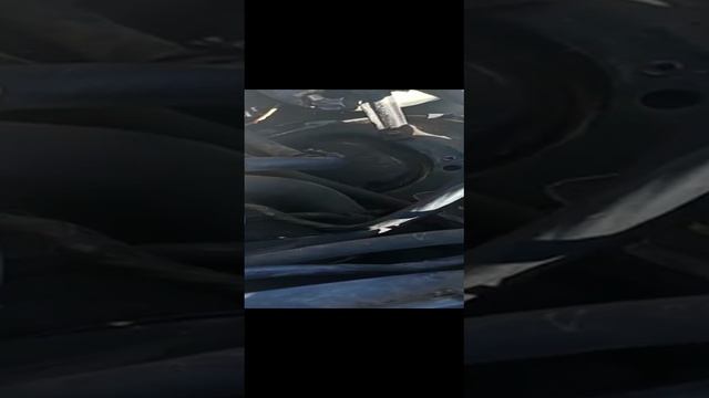 VID-20220424-WA0015.mp4