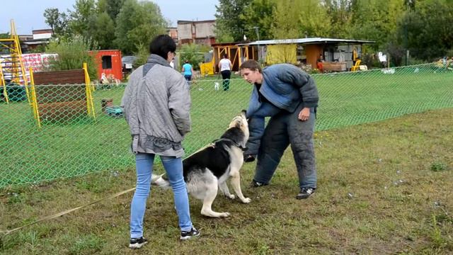 Кусачка смотреть онлайн