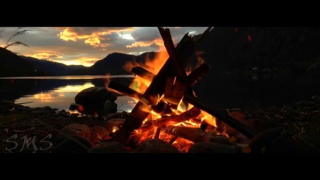 Страшные истории на ночь. Человек Позвоночник. Creepypasta. Страшные истории про лес. смотреть онлайн