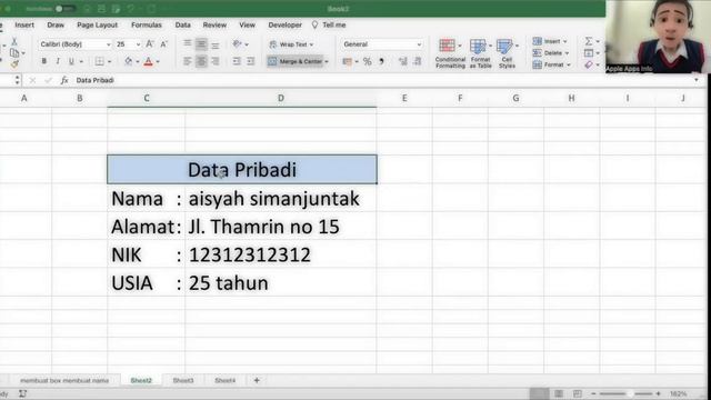 Microsoft Excel Tutorial 2 (For Macbook User) смотреть онлайн