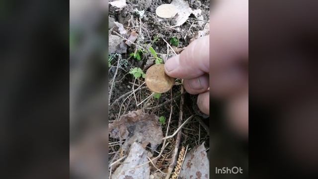 Свежий коп 2023