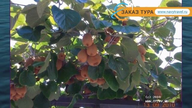 VILLA BOJANA 3* Черногория Будва отзывы – отель ВИЛЛА БОДЖАНА 3* Будва отзывы видео смотреть онлайн