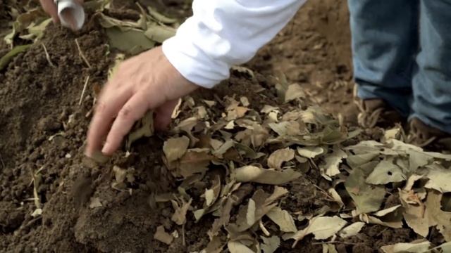Huertos circulares. Estrategia de adaptación frente al cambio climático смотреть онлайн