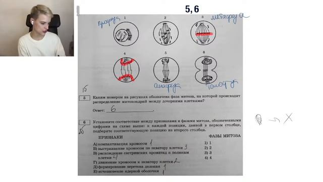 Все задания на деление клетки из нового сборника 2022