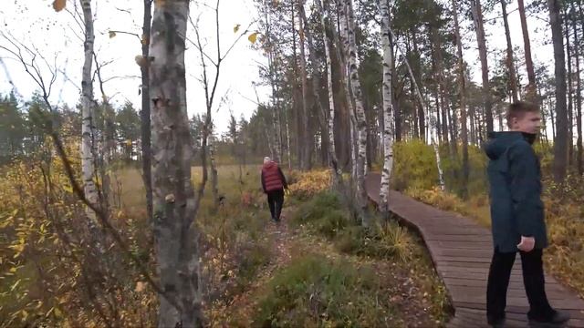 Сестрорецкий рубеж. Экологическая тропа "Сестрорецкое болото". смотреть онлайн