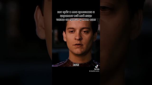 КОТ и Я #shorts смотреть онлайн