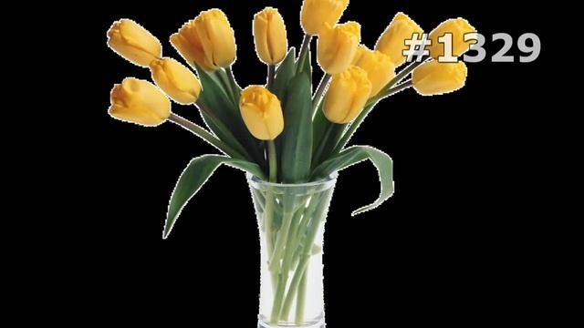 #1329. Натюрморты - очень красивые цветы смотреть онлайн