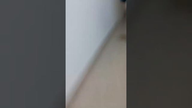 Лифт Отис 2014 грузоподъёмность 1300 кг