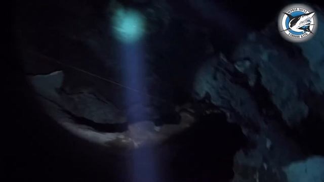 #Сеноты Юкатана. Мексика #Дайвинг. 2019. смотреть онлайн