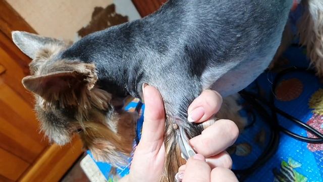 Секреты Таланта