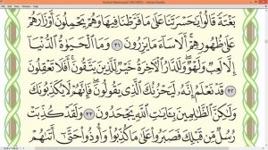 Шейх Айман Сувейд сура Аль Анам стр131