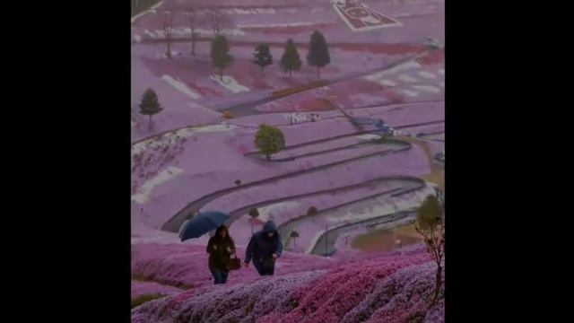 Красота Японии смотреть онлайн