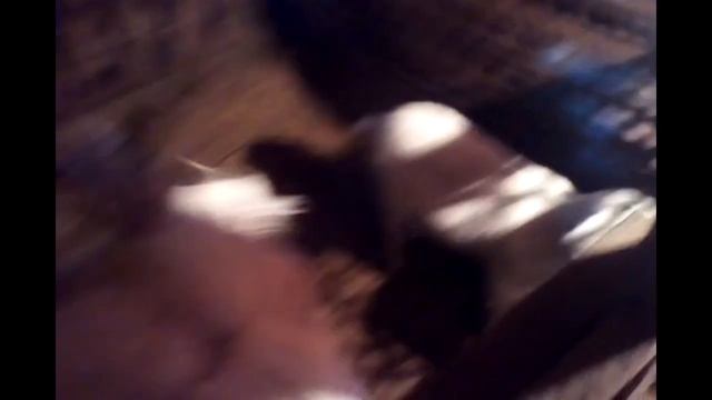 Выгодно ли держать породистых коз????? смотреть онлайн