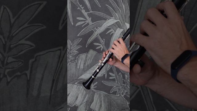 The Lord of the Rings Theme clarinet klarnet Władca Pierścieni Властелин колец кларнет fragment 单簧管 смотреть онлайн