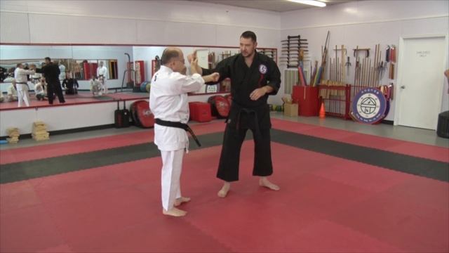 Shurite Bujutsu Kai Juji Uke Applications