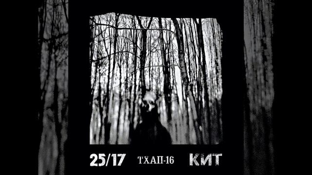 ТХАП-16 (feat. КИТ) смотреть онлайн